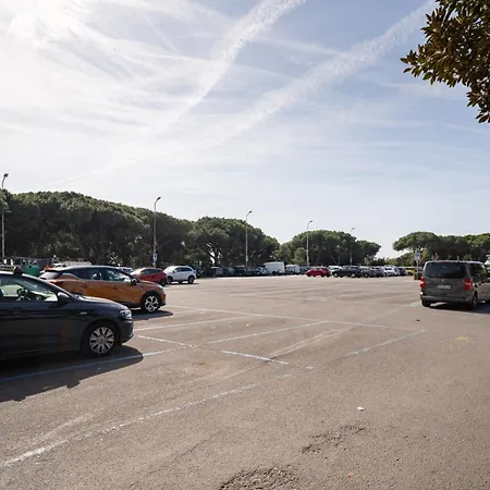 Tresor De Chambre, * بورديغيرا